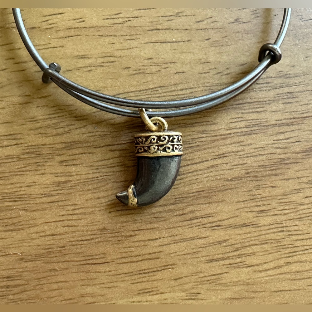 NWOT Alex and Ani tiger’s claw bracelet